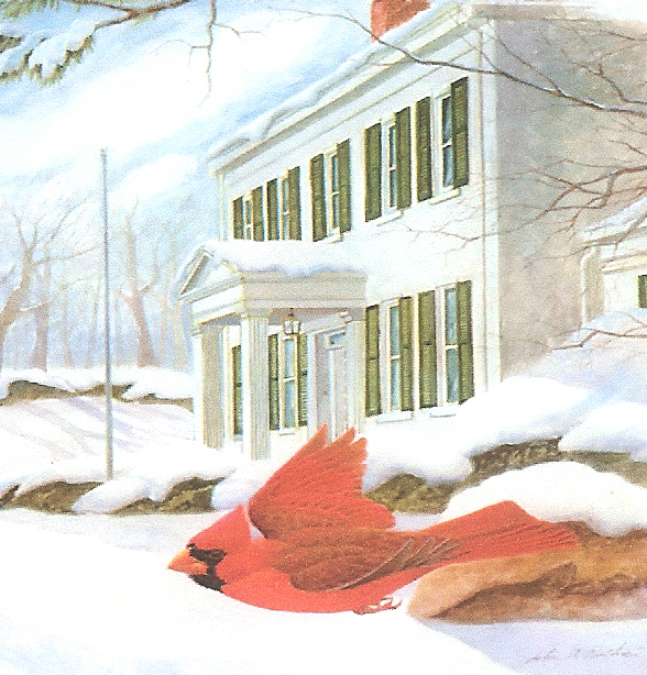 Cardinal at Dusk by John A. Ruthven Limited Edition signed and numbered Image print