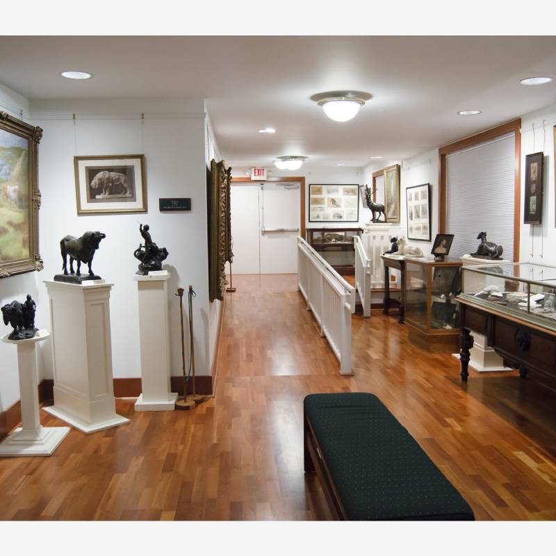 Hallway displaying art pieces