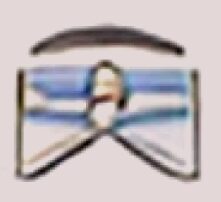 A blurry image of a person behind a blue and white barrier.